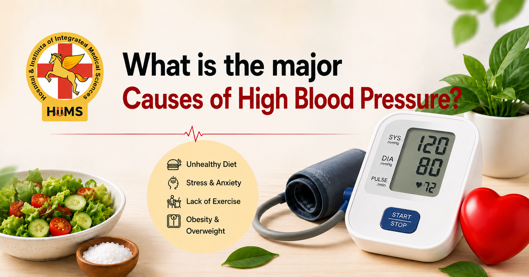 What Are the Major Causes of High Blood Pressure?